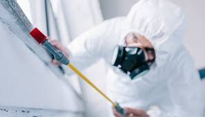 Best Pest Prevention Services  in Williamson, AZ